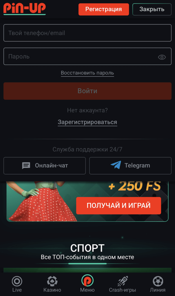 Форма входу на сайті PinUp з полями для авторизації через логін, email або телефон і паролем для доступу до акаунта